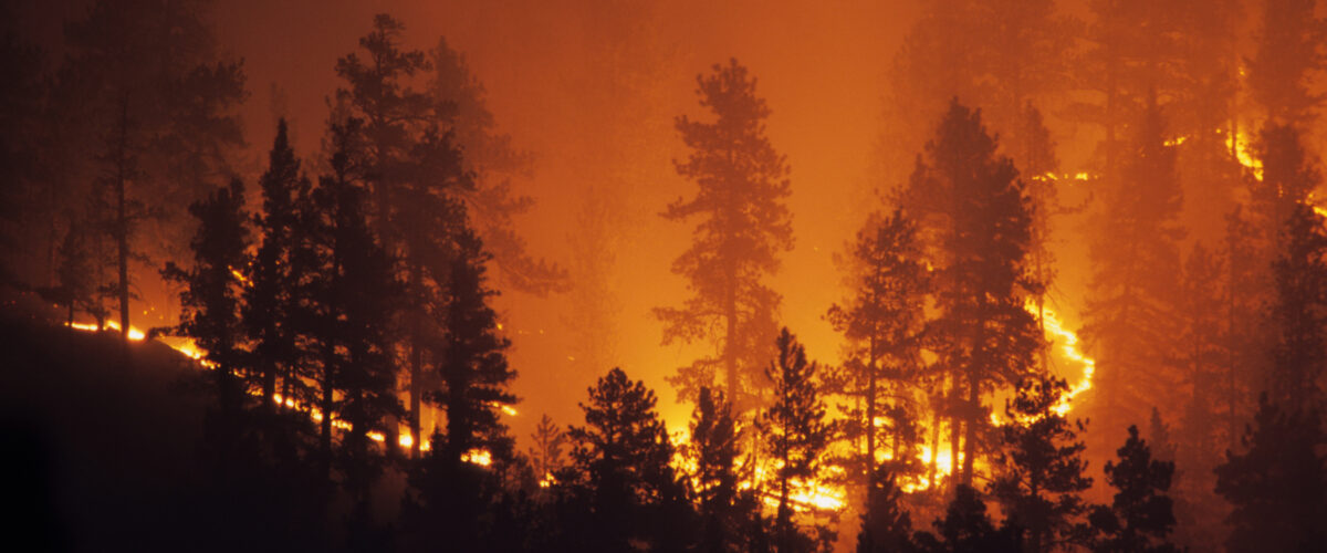 A forest glows as the fire burns out of control on a mountain hillside in the Pike National Forest behind the Platte Canyon High School as it works it way through the pine trees above highway 285 near the small town of Bailey, Colorado.