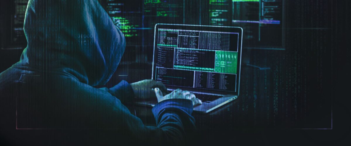 241101-CyberFraud-Hayutin