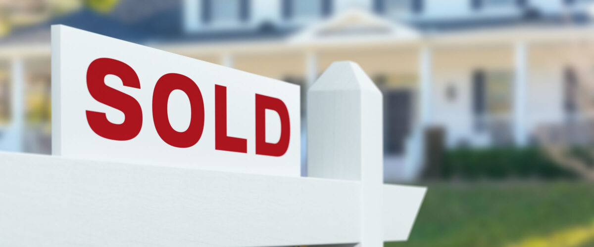 250205-BoutiqueTitle-Hayutin